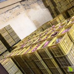 大量烟薯25求收购，价格优惠