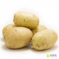 紧急出售大量土豆