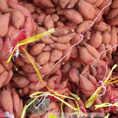 富硒蜜薯 烟薯25