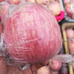 陕西纸加膜袋红富士苹果大量低价供应