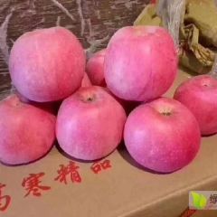 富农红富士供应商