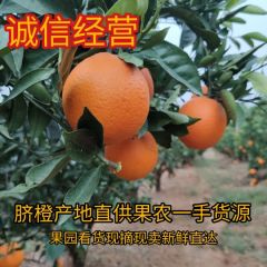 橙子秭归脐橙，秭归纽荷尔九月红长虹橙，产地直销果