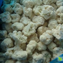 速冻白花菜碎米