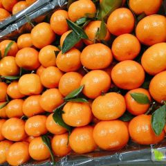蜜桔产地直销，农户一线交易，不甜不要钱