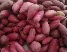 【窖藏】精品紫罗兰商品薯
