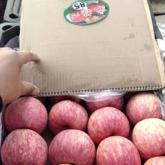 10年来经营水果、蔬菜的代卖，直批。客源广销货快