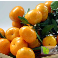 代销南丰桔-襄阳竹叶山农产品交易中心春光果行