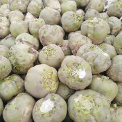 河南焦作博爱大芥头量大质优代办高艳敏诚信代收