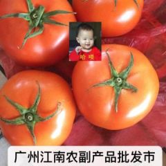 广州江南农副产品批发市场专业代购