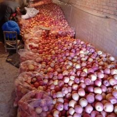 灵宝市万客来果行