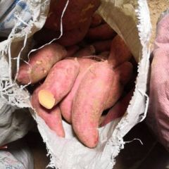 青云镇黄河薯业嘎嘎(*˘︶˘*).｡.:*♡