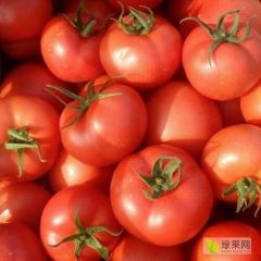 山东省泰安市岱岳区房村镇西良甫