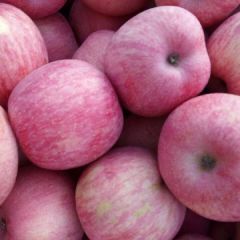 辽南丘陵优质红富士，冷库葡萄大量供应中。