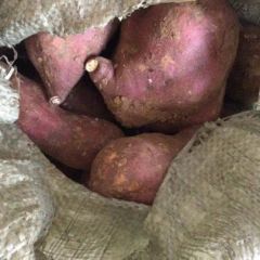 自家种的， 有50亩待售