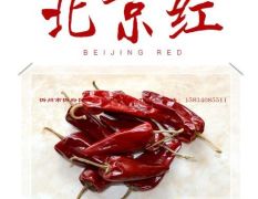 山西北京红辣椒~干椒大量大量上市