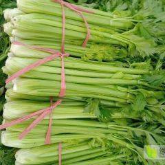 芹菜大量紧急处理，免费拉，只要工钱