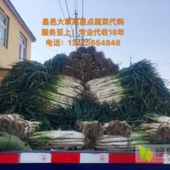 万亩优质大葱为何价格如此低廉