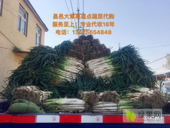 2019年山东昌邑长白大葱价格