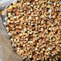 云南姬松茸质量好