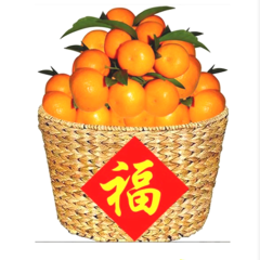 原产地大量批发供应代收临海蜜桔涌泉蜜桔黄岩蜜橘