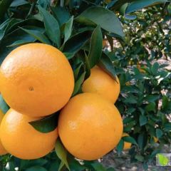 广西南宁江南区小何为你真诚服务