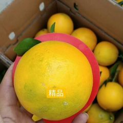 江西赣南脐橙