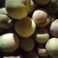 求购山东青岛潍坊烟台各地映霜红冷库桃