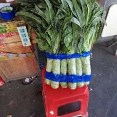 广州市江南果蔬批发市场专业蔬菜代销