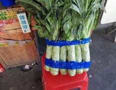 广州市江南果蔬批发市场专业蔬菜代销