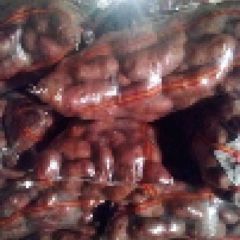 精品红皮土豆：川引，血川红和青薯九号。