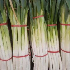 正宗章丘大葱售卖，口感正宗