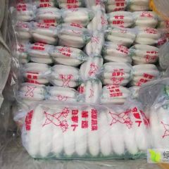 广州江南专业代销白萝卜