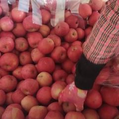 栖霞高次果看货在说话9－1.2元