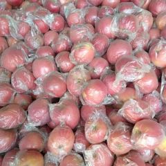 山西省尧都区苹果，果个大，红度好，