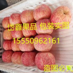 山东冷库红富士苹果岱鑫果品供应苹果