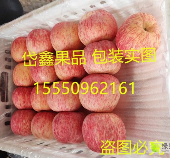 2019年山东蒙阴红富士价格