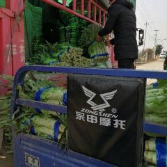万亩大棚蔬菜基地，专业团队，一流服务，打造精品货源。合作