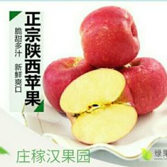 陕西省澄城县苹果代办