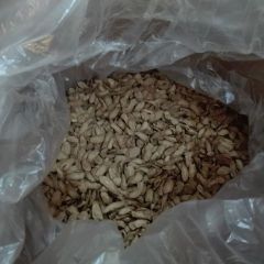 本地牛蒡种植五万多亩今以大量上市