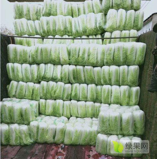 2019年山东滕州北京新三号价格