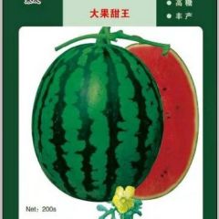 甜王西瓜/寒友奇甜