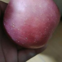 普通苹果谁要赶紧要 好三级，谁要赶紧数量有限价格6－1元