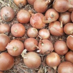 不敢夸我的货是最棒的，但我的货能让客户挣到钱，不赔钱