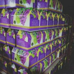 河北石家庄晋州市库存巨峰葡萄