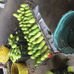 海南芒果，热带水果，金皇芒