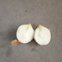 内蒙古和林格尔黄、紫洋葱逐渐升温