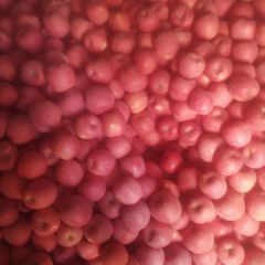 红富士苹果 花牛苹果