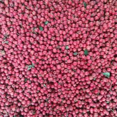 大量山楂等待出售