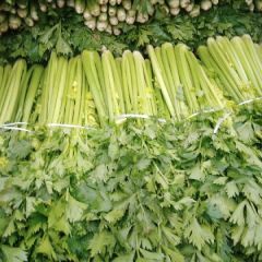 西芹！基地直供！质量超群！价格平稳！