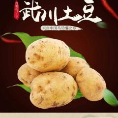 武川县瑞瑞马铃薯种植户